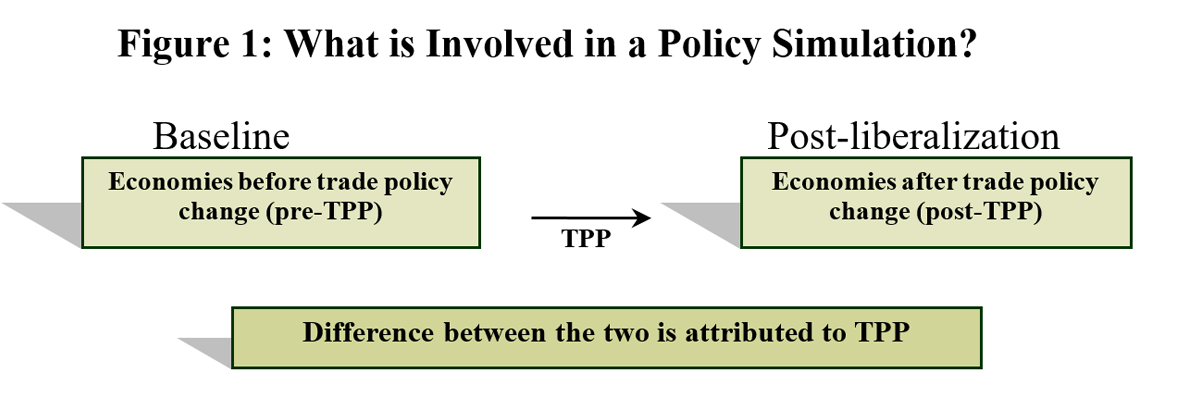 Figure 1: What is Involved in a Policy Simulation?
