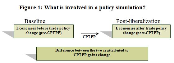 Figure 1: What is involved in a policy simulation?
