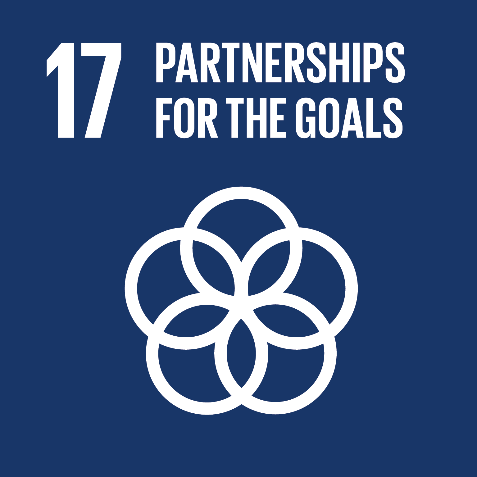 Goal 17 – Partnerships for the Goals 