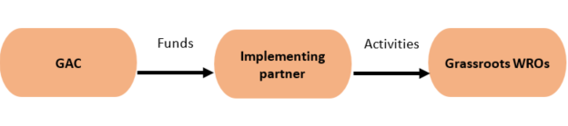 Model 6 (Tanzania Gender Networking Programme)
