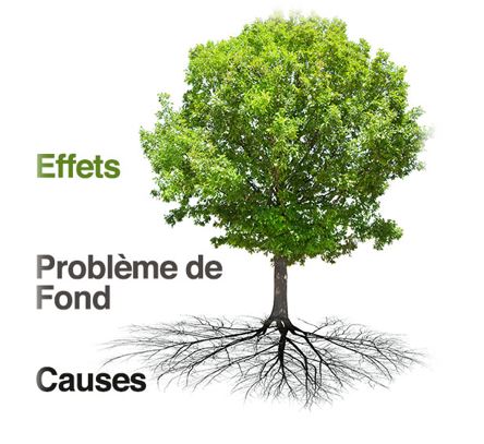 Figure 6 – L’arbre à problèmes