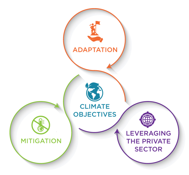 climate change in developing countries