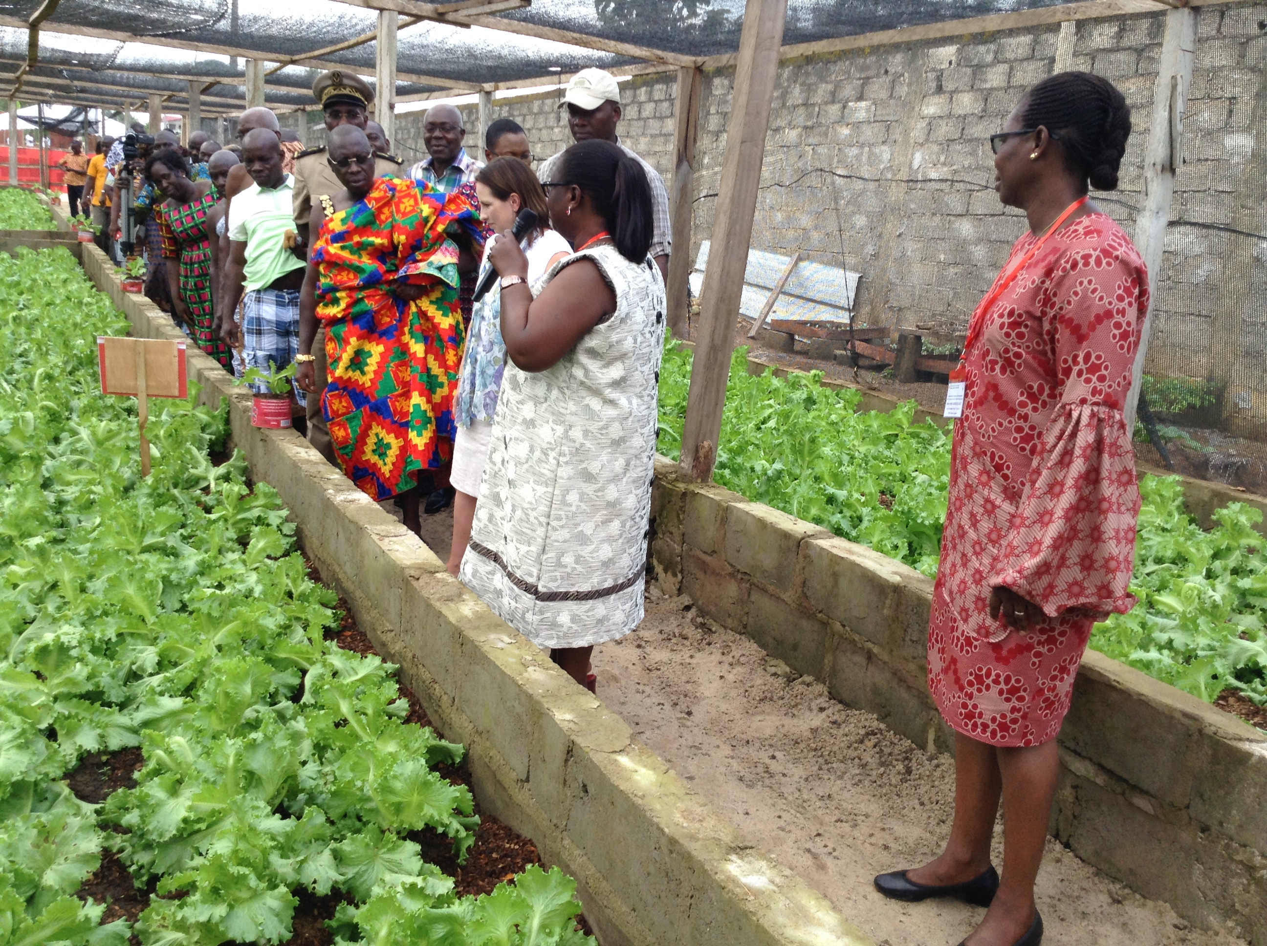 Ambassador Shouldice visits a new plot of hydroponic farming land with Michelle Morokro from La Pierre Angulaire in Côte d’Ivoire. Credit: Global Affairs Canada