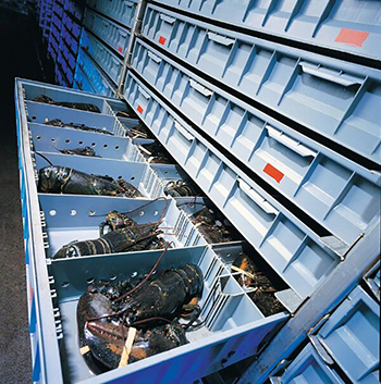 Special storage facilities for lobsters