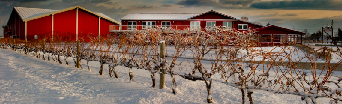 La vignoble du famille Pillitteri.