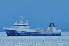 The Inuit-owned Saputi is a large 76-metre multi-species factory freezer trawler