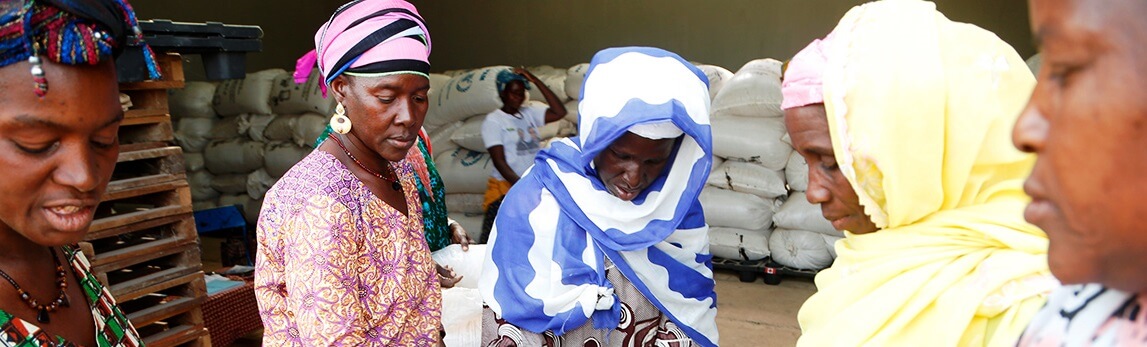 La commercialisation des céréales par les associations coopératives au Mali : Un créneau d’avenir