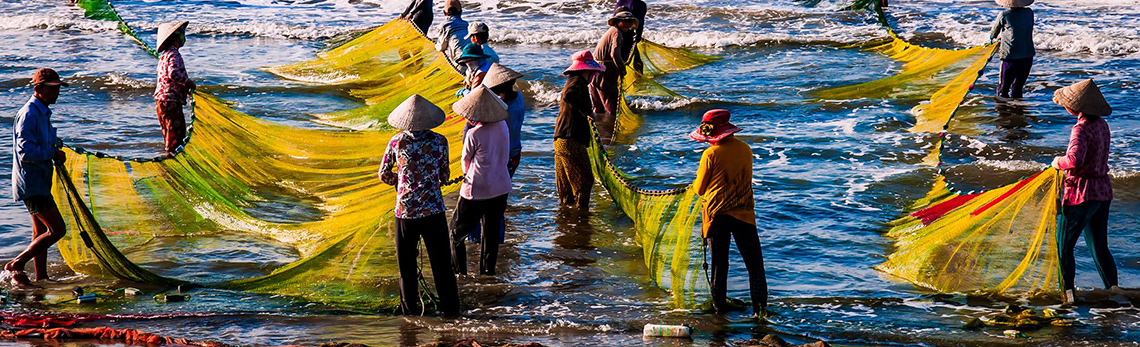 Hommes et femmes pêchant sur les côtes vietnamiennes. Photo: Nguyen Thanh Cuong