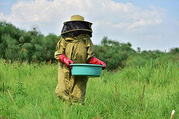 Shildah Nabimanya en combinaison d’apiculture, marchant dans un champ d’herbes hautes pour récolter du miel.