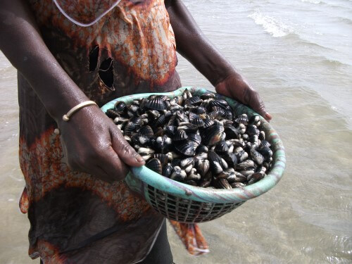 A basket of ark clams is held by a woman in front of a body of water.