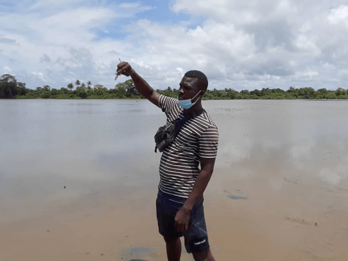 A Senegalese man stands in shallow water, holding up a propagule.