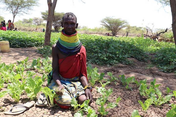 Figure 1: A woman sitting in a spinach garden surrounded by greenery and trees.