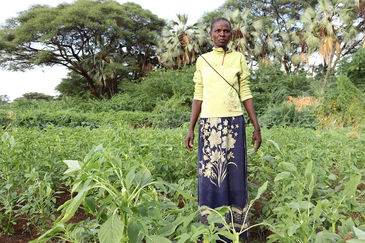 Figure 2: A woman sitting in a spinach garden surrounded by greenery and trees.