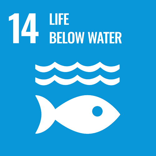 Sustainable Development Goal #14 (Life below water) icon with pictogram of fish underwater on blue background.
