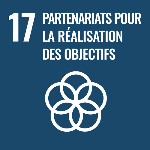 Icône de l'objectif de développement durable n°17 (partenariats pour la réalisation des objectifs) avec un pictogramme de 5 cercles superposés. 