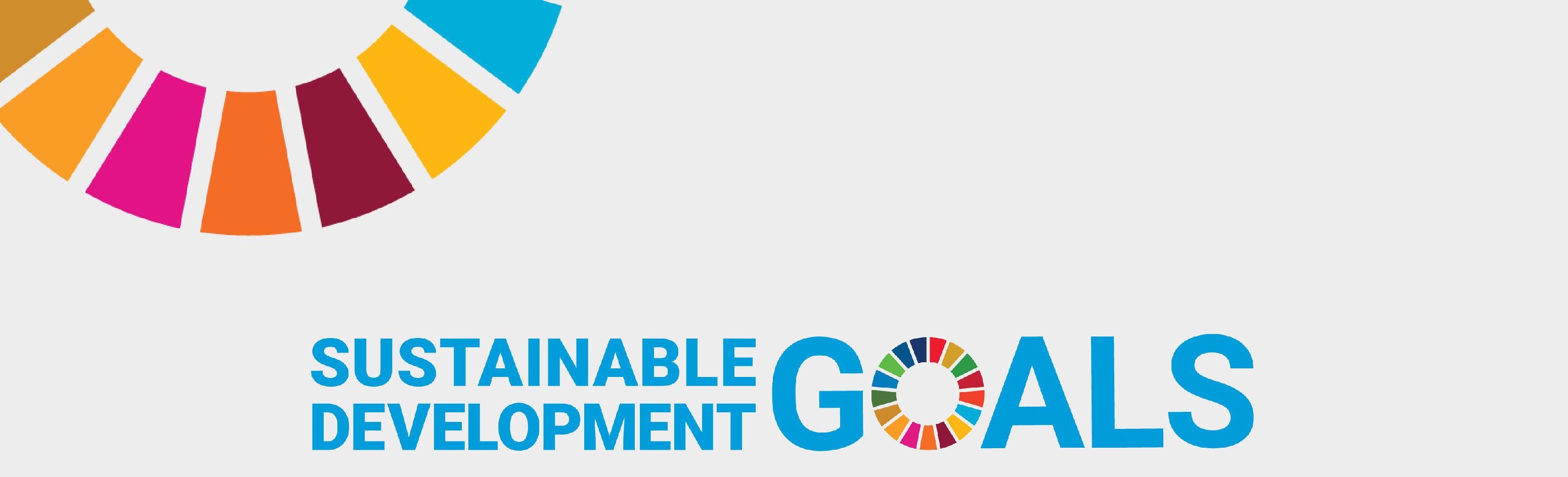 The UN Sustainable Development Goals logo, including the colour wheel on a light grey background.