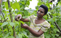 A woman is pictured smiling in a bean field.